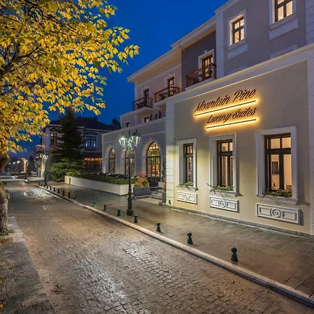 Apartmanhotel Mountain Pine Luxury 3*