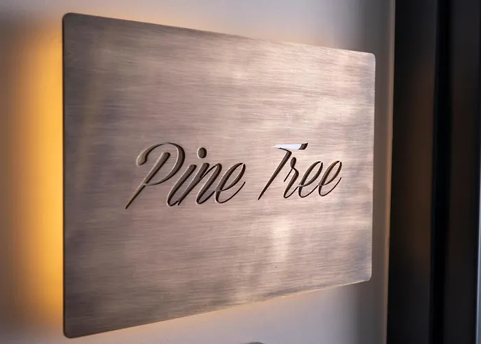 Mountain Pine Luxury מלון דירות